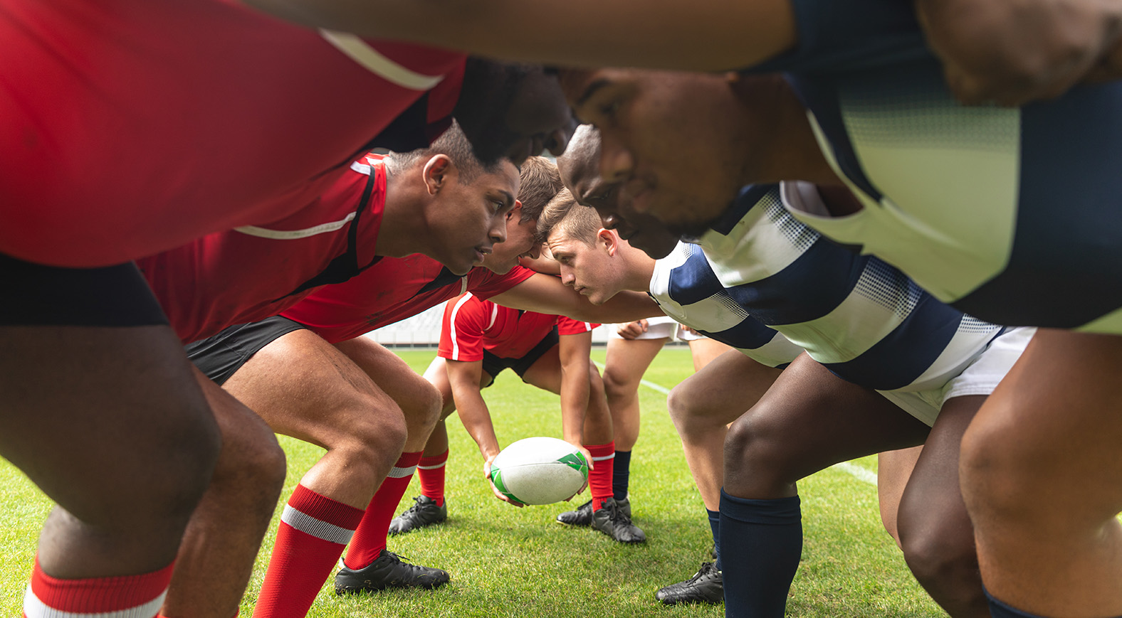 Coupe du monde de rugby 2023 : appel à volontaires