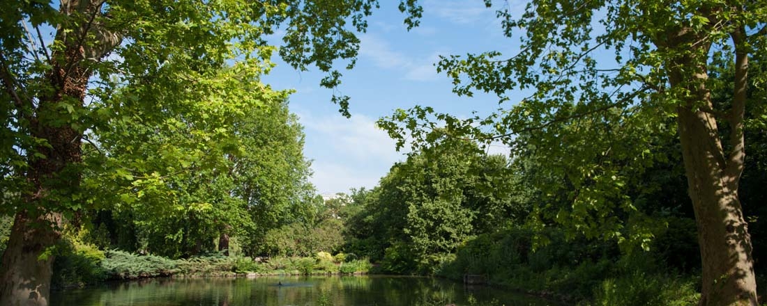 Participez au recensement des arbres remarquables