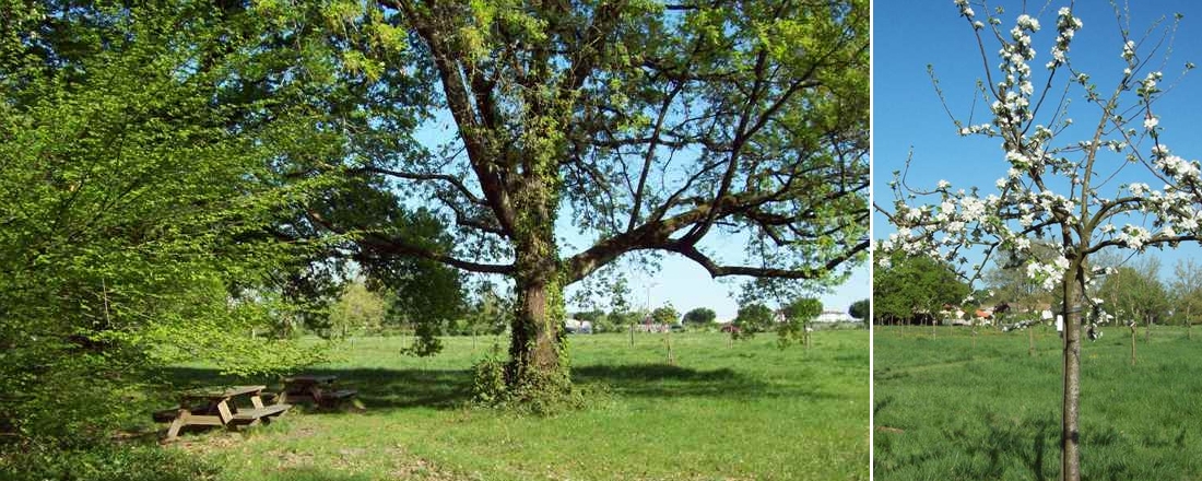 Parc de Luchey