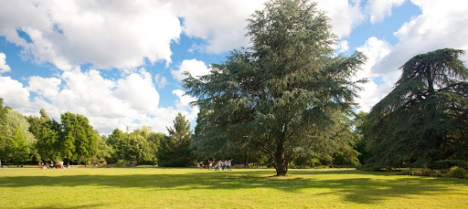 Parc du Vivier