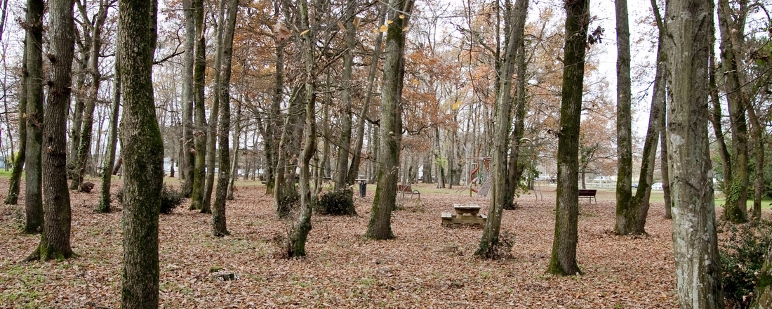 Parc St Exupéry et jardins partagés