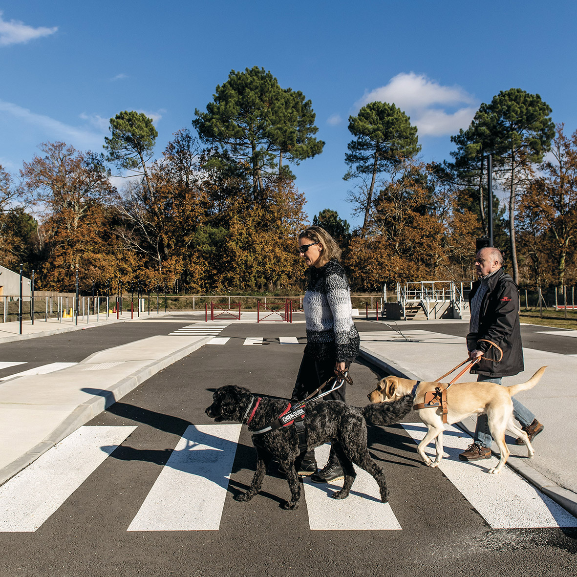 Le Mérignac Magazine du mois de Janvier 2022 est sorti !