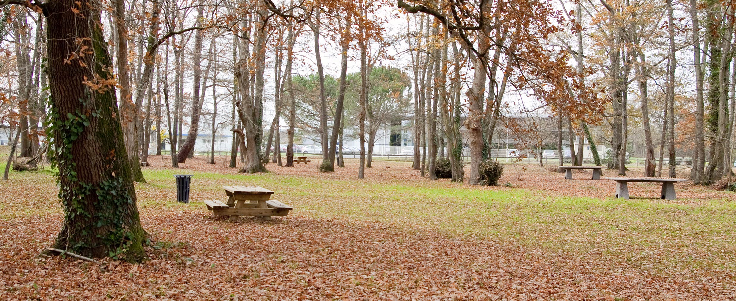 Parc de Beaudésert - Saint Exupéry