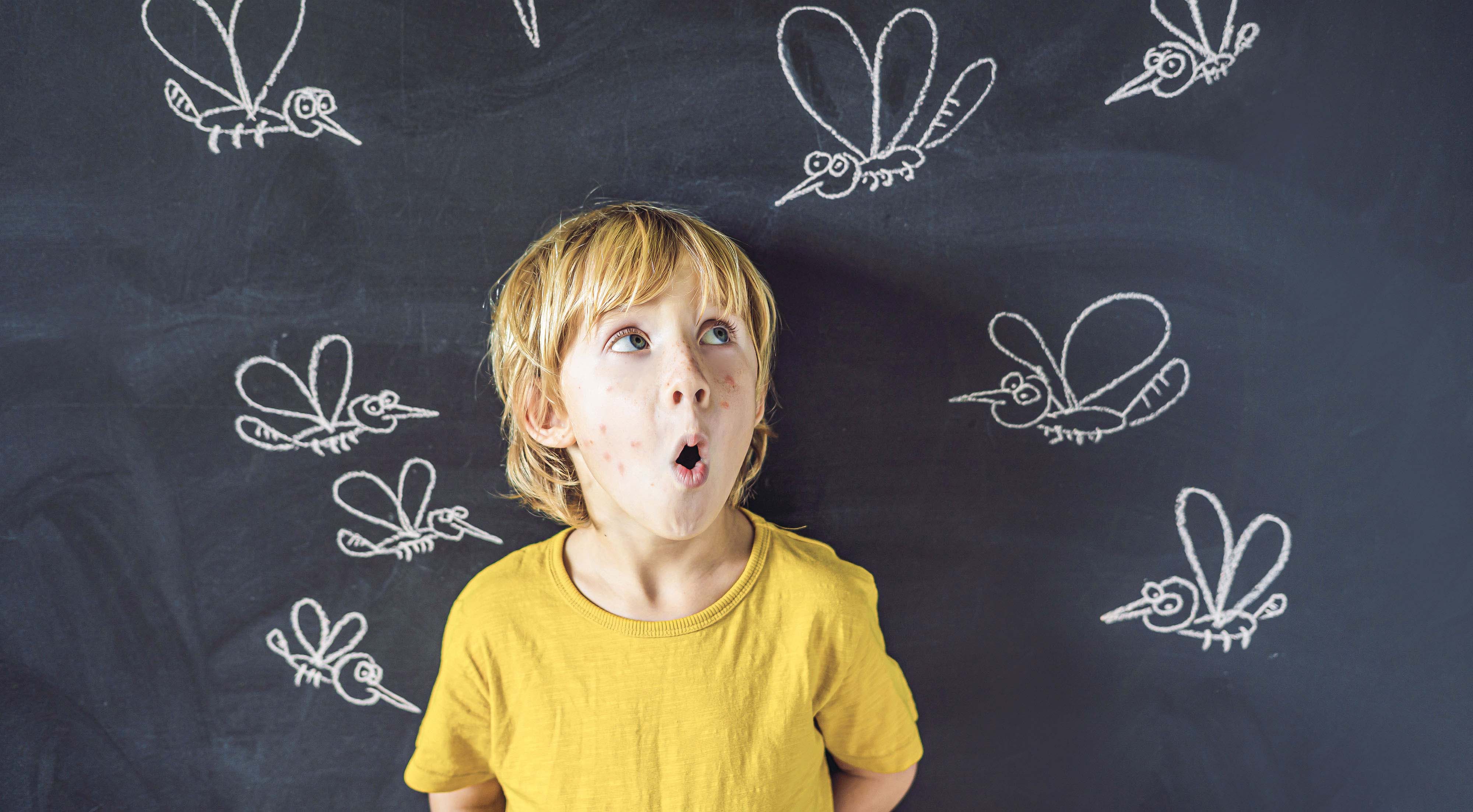 Lutte antimoustique : le bon moment, c'est maintenant !