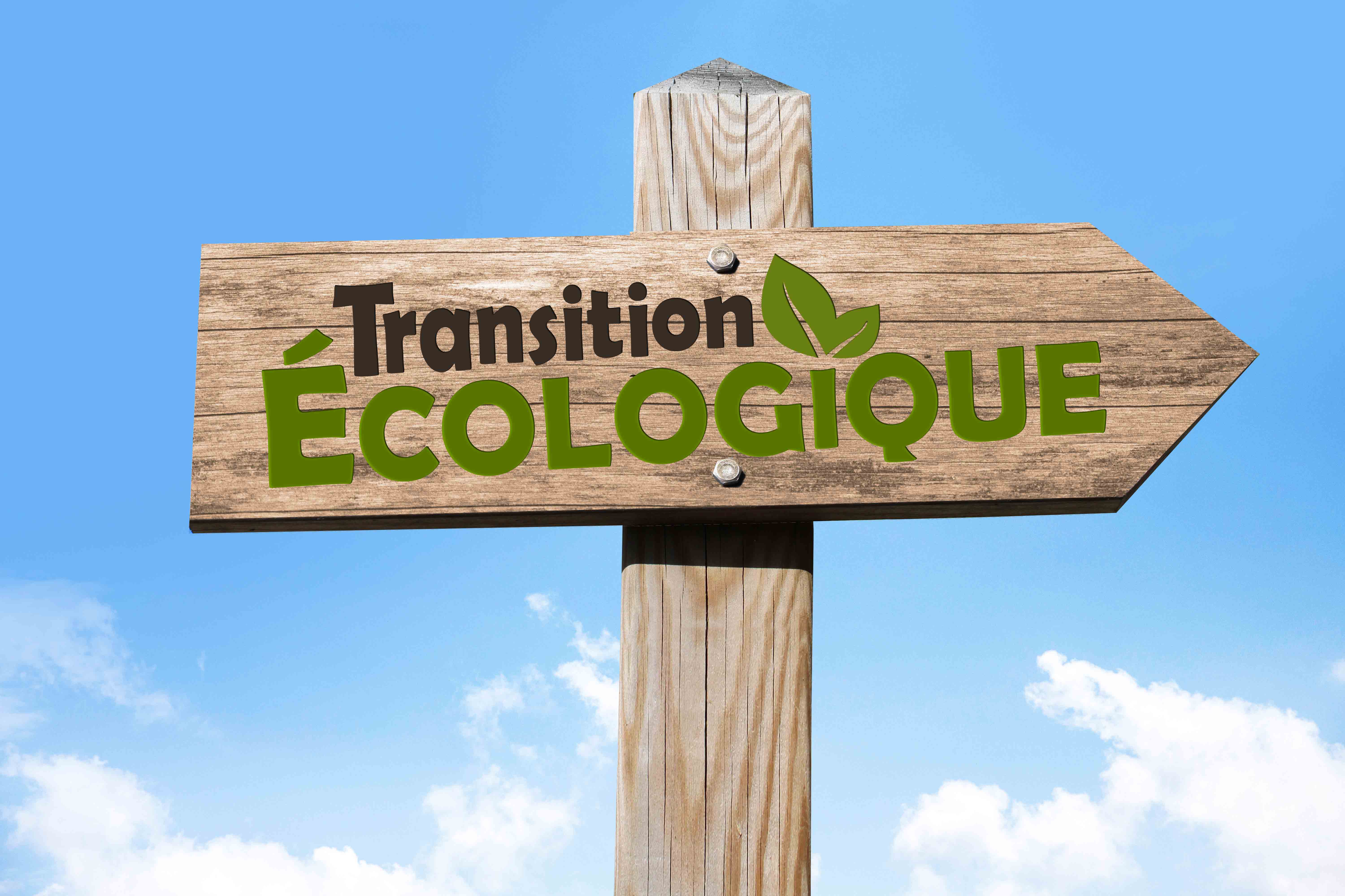 transition eco