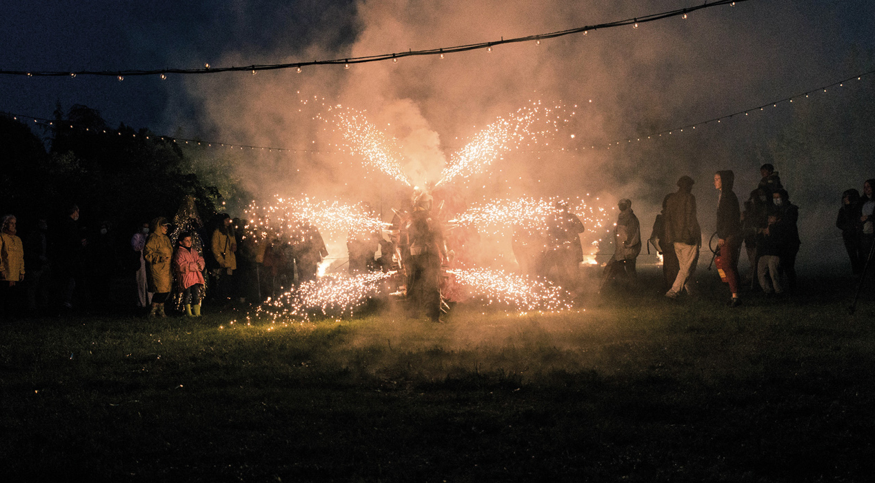 3 questions à Nelly Pons, artiste du parti Collectif