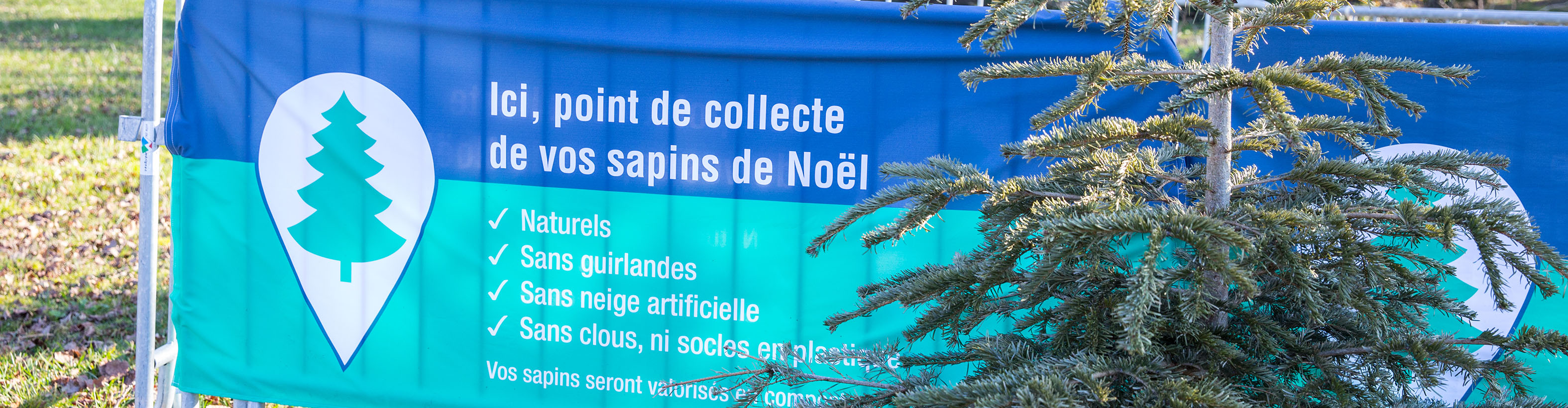 Des mauvais trieurs déposent leurs déchets sous le sapin de  Sainte-Ménehould - Journal L'Ardennais