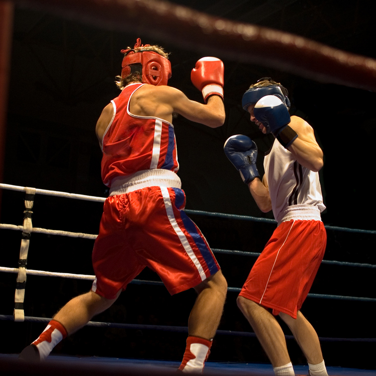 SAM boxe française