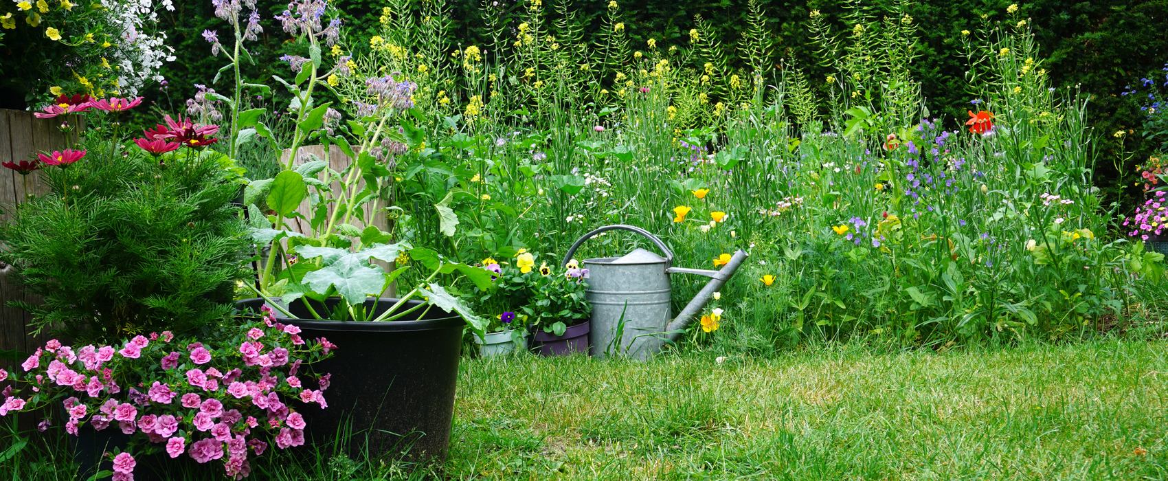 Salutaire : thème des jardins