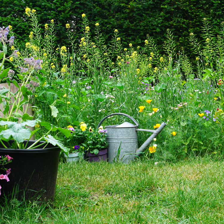 Salutaire : thème des jardins