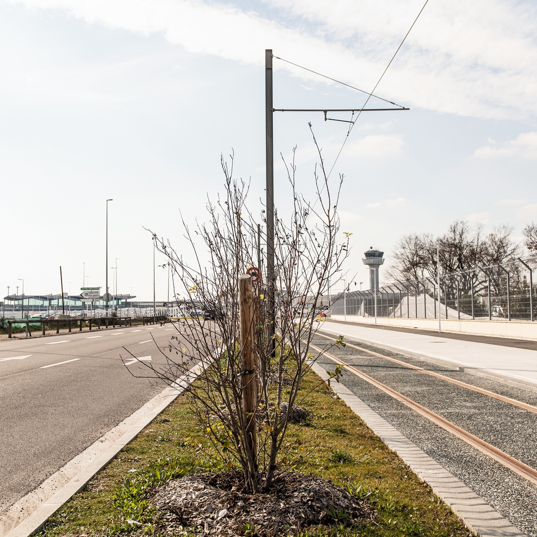 Extension de la ligne A : contrat rempli !
