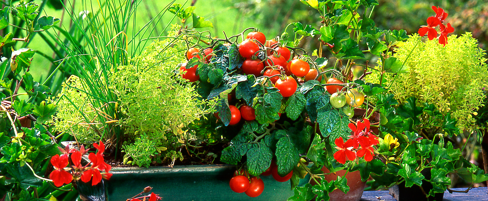 Des jardins en bas de l’appart ? 