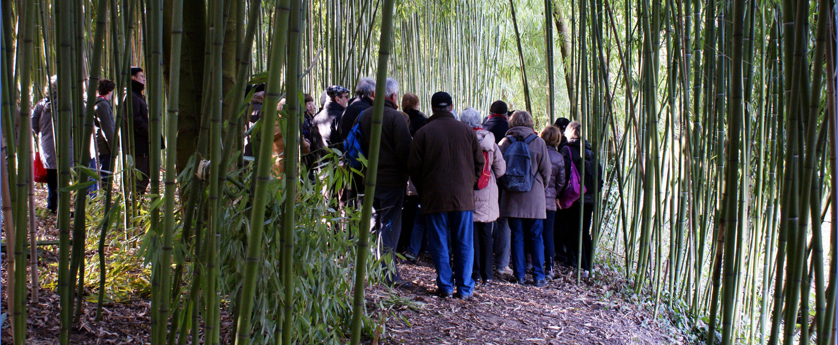 Initiation aux chants d'oiseaux et à la botanique