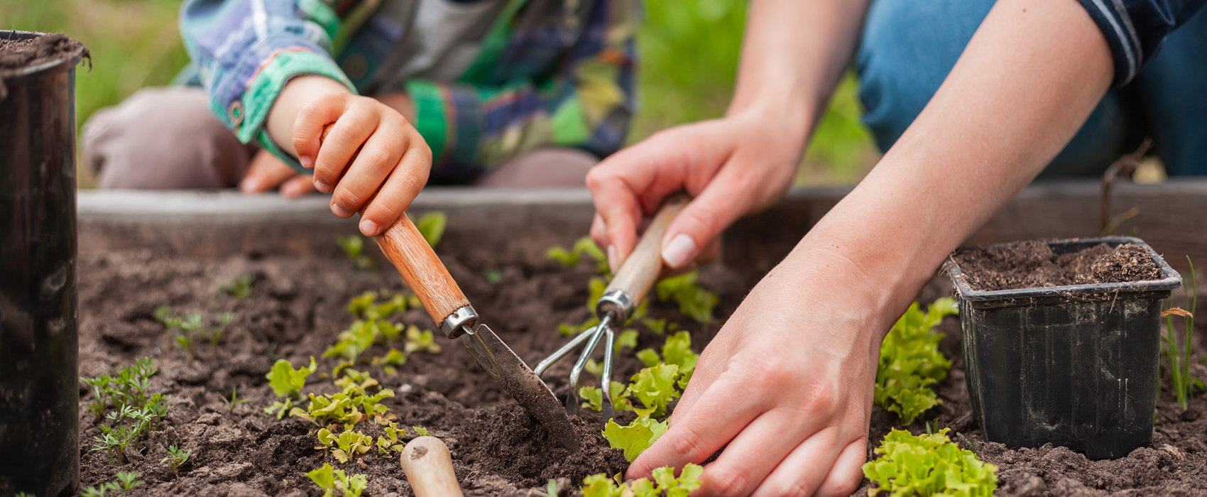 mini-potager