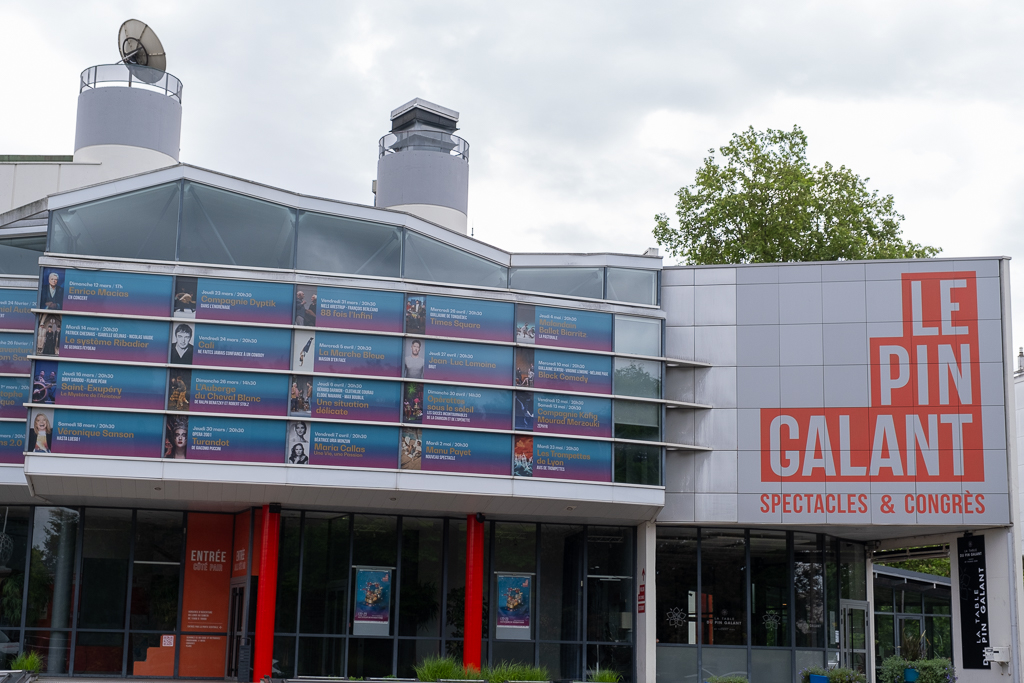 Le Pin Galant 