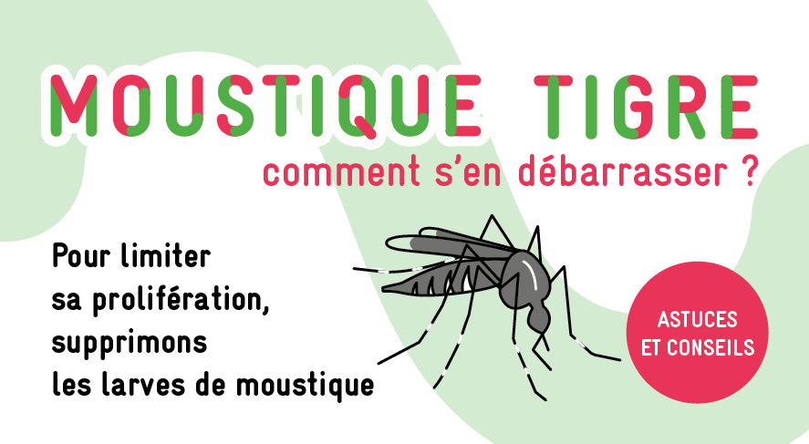 Tous mobilisés pour la lutte contre les moustiques