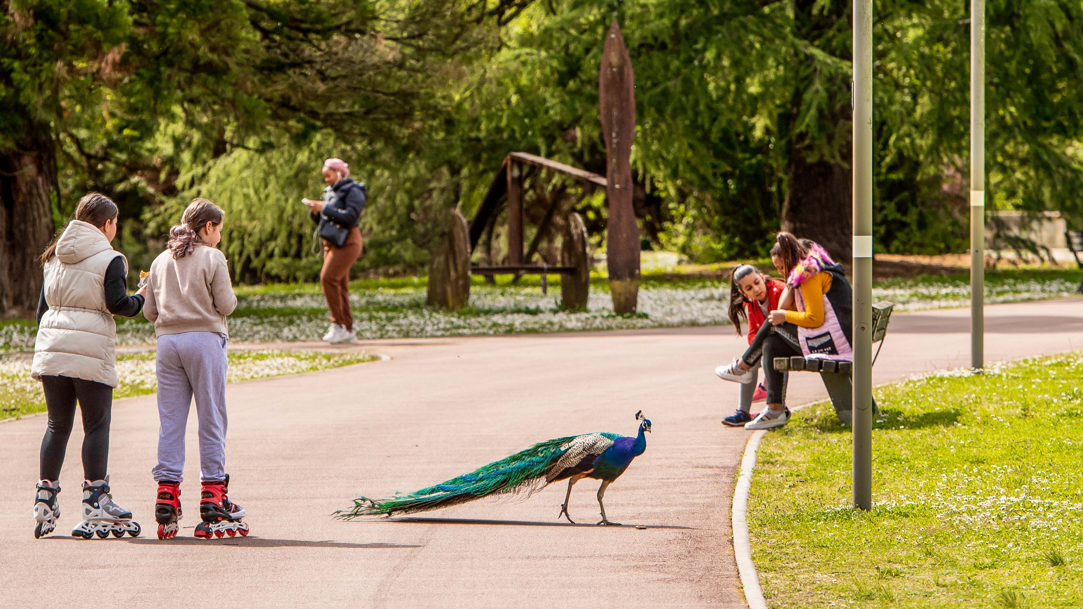 Parc du Vivier