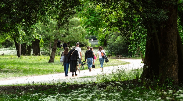 Le parc de Bourran