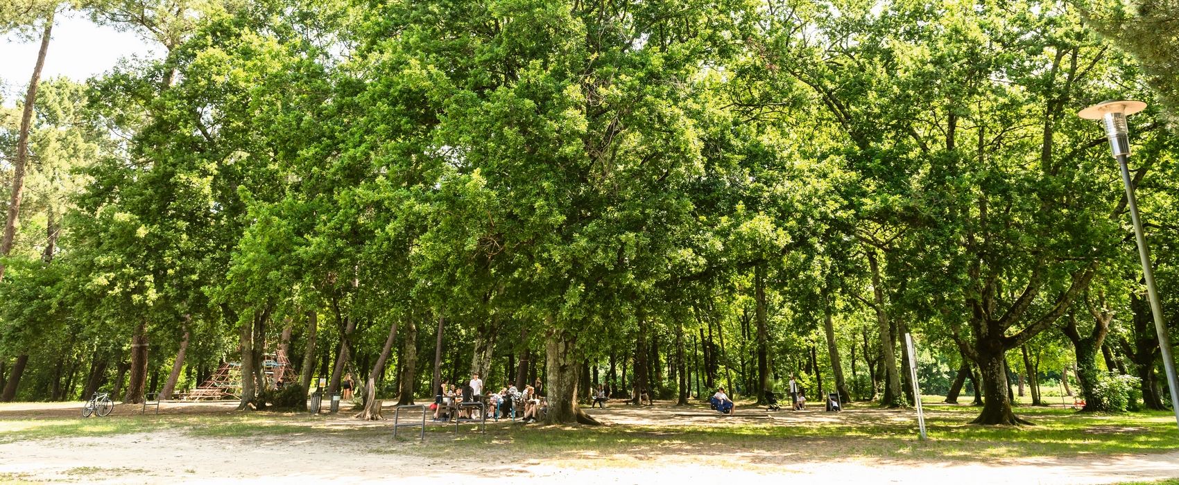 À la découverte du bois du Burck et du ruisseau du Peugue