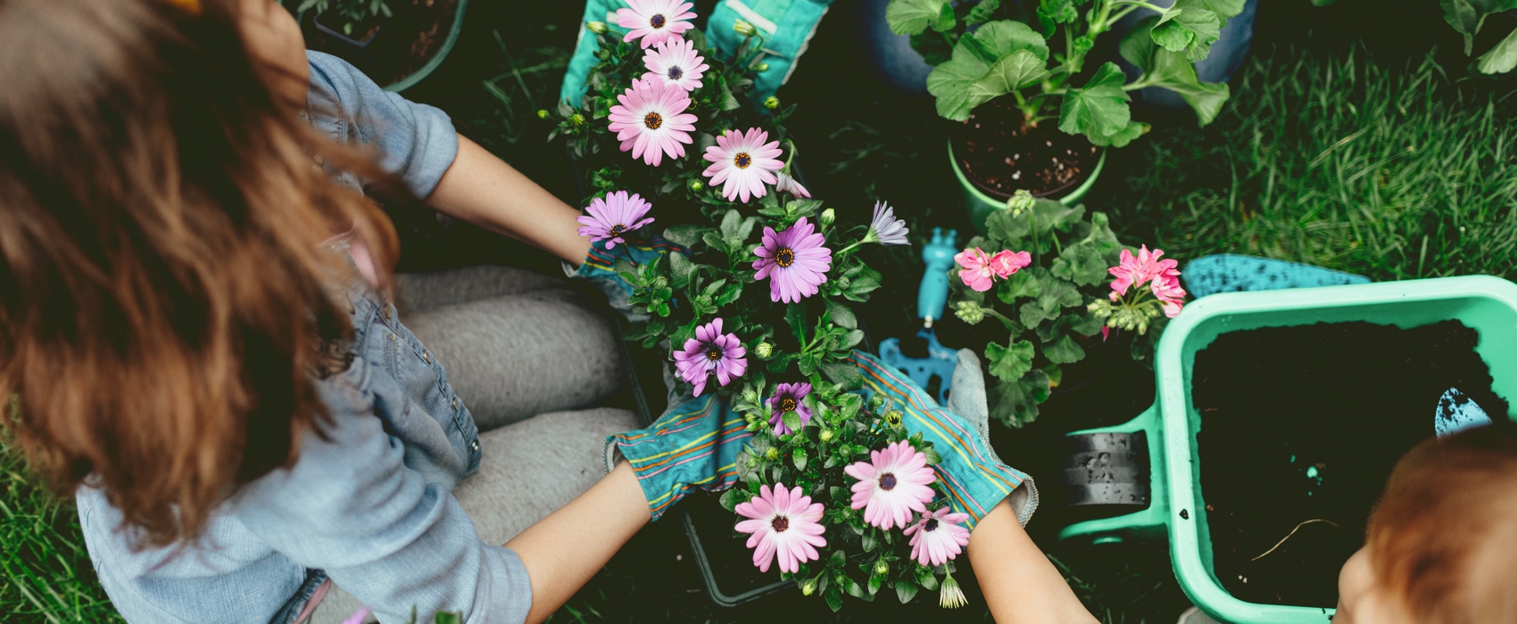 Fête des jardins