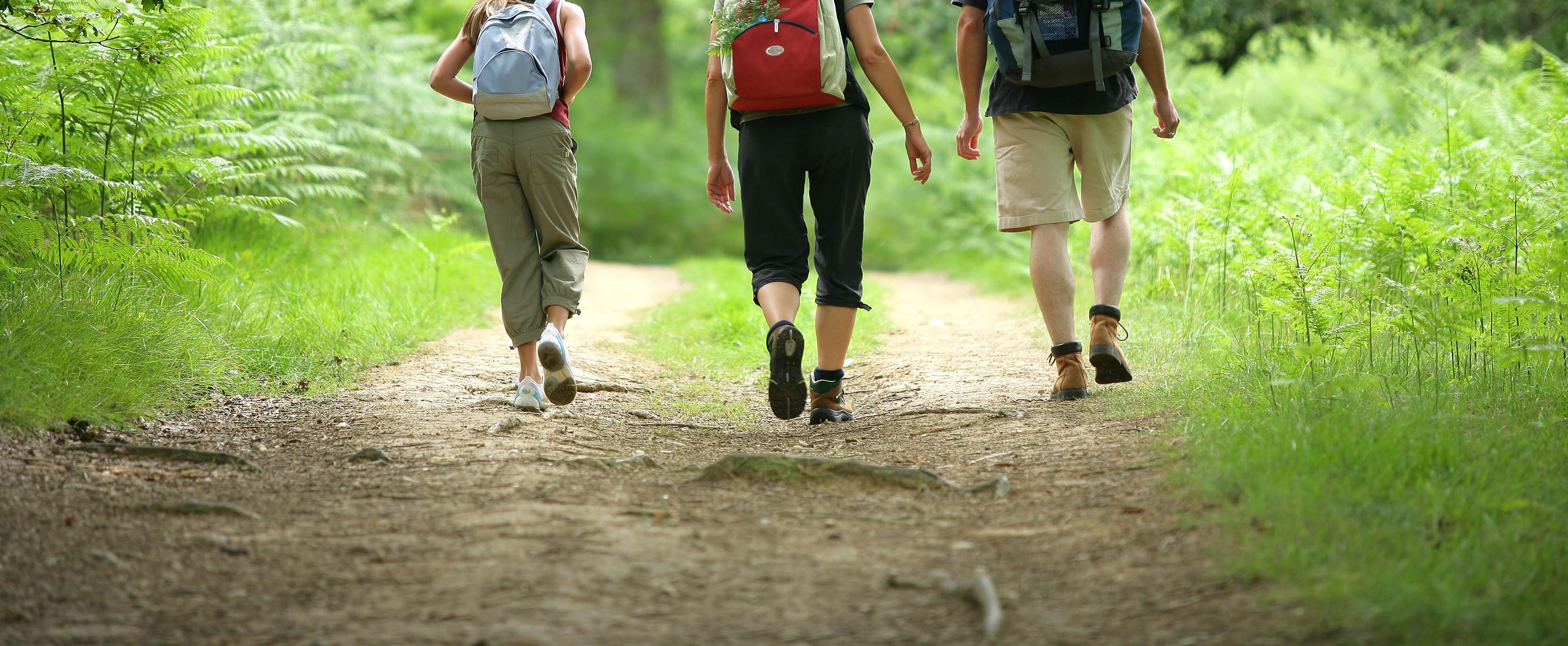 Balade écotouristique et naturaliste