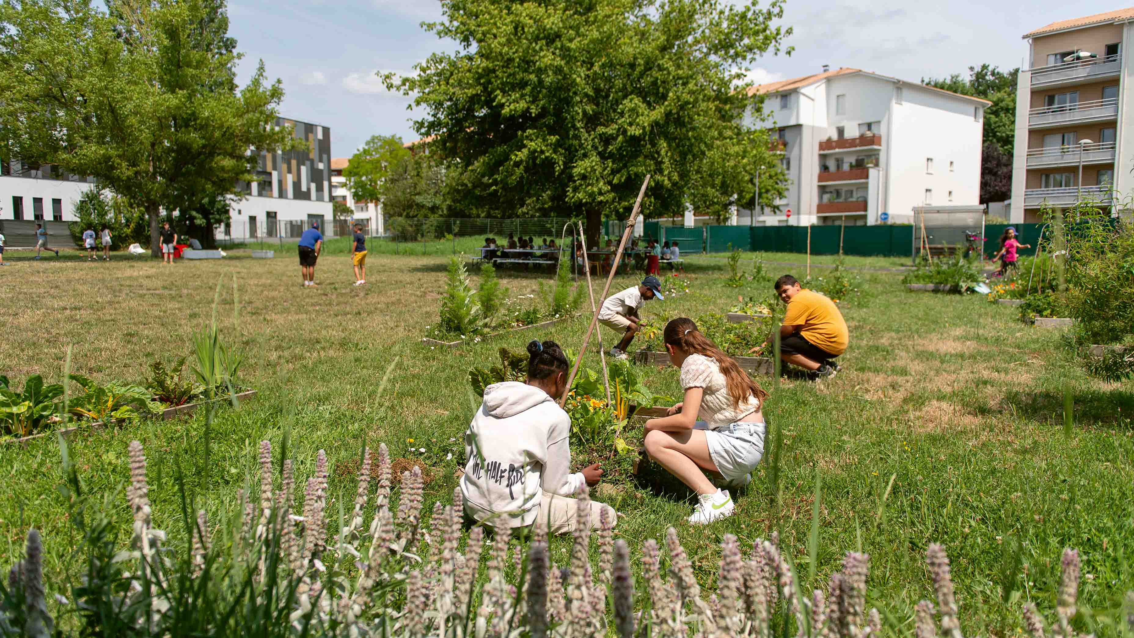 Ecole Jules Ferry
