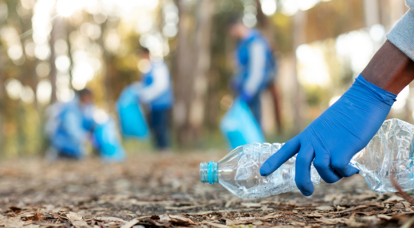 Bénévoles ramassant des déchets en forêt. 