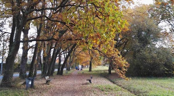 parc