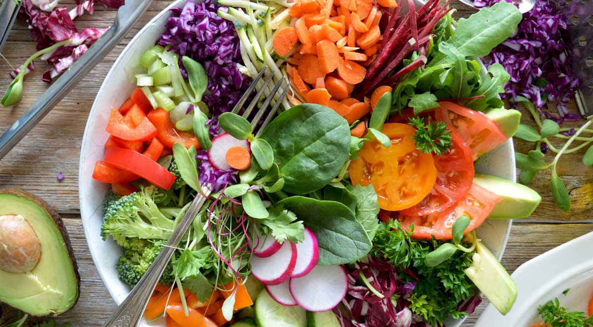 Exposition sur l’alimentation végétale