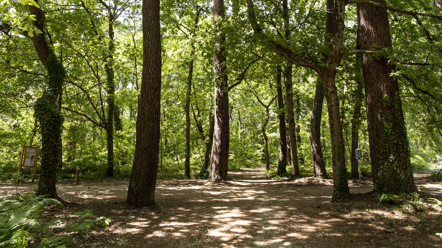 parc du Château