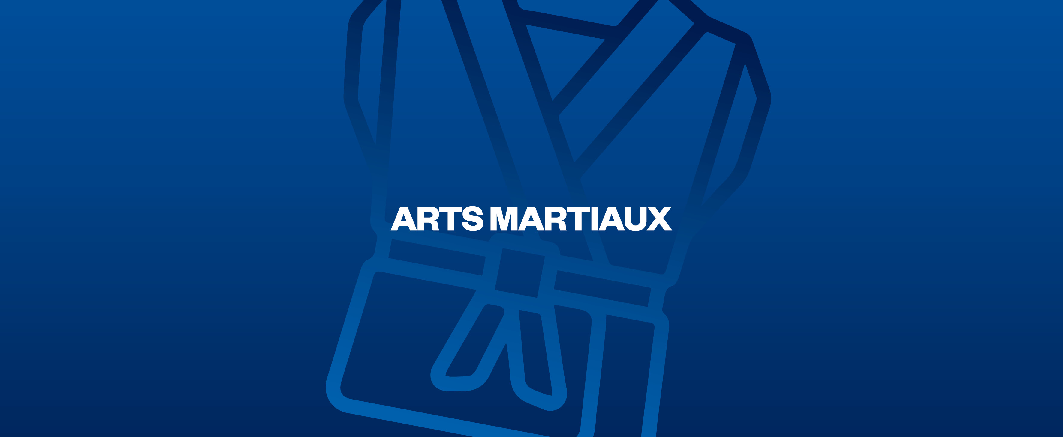 Arts martiaux : démo chorégraphiée de Taekwondo et projection de Kung Fu Panda 4 et  - Ensemble jusqu'aux Jeux