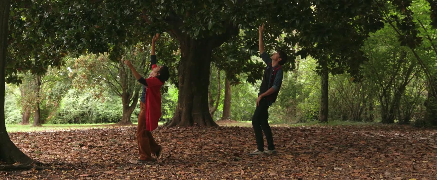 conversation avec un arbre