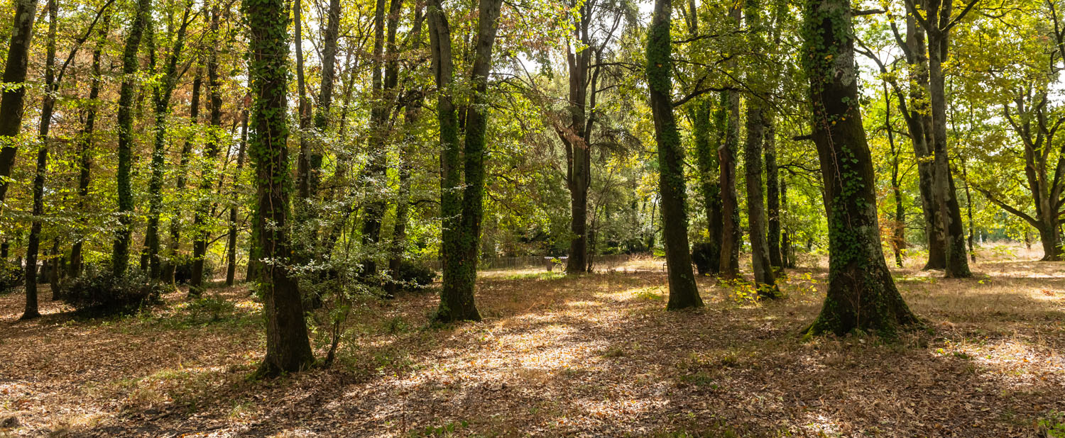 Parc de Beaudésert