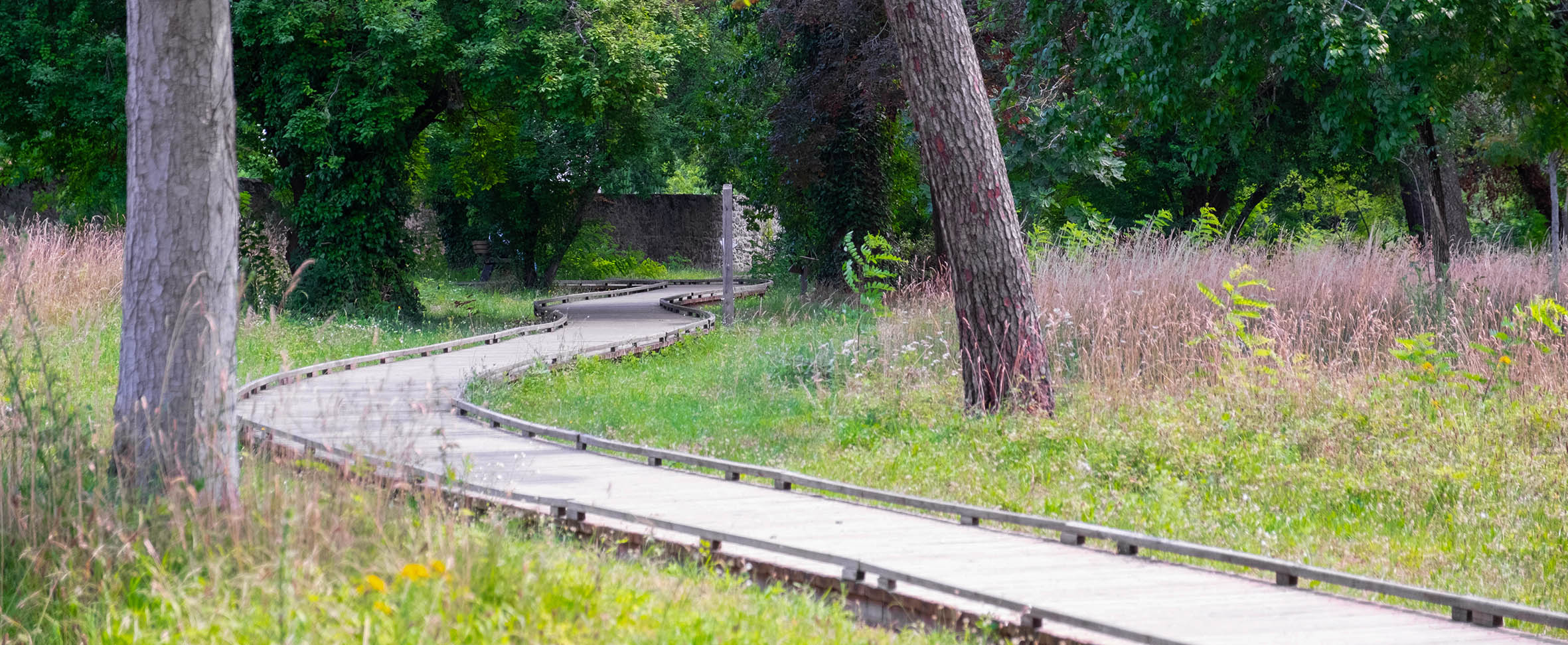 Parc Victor Schoelcher