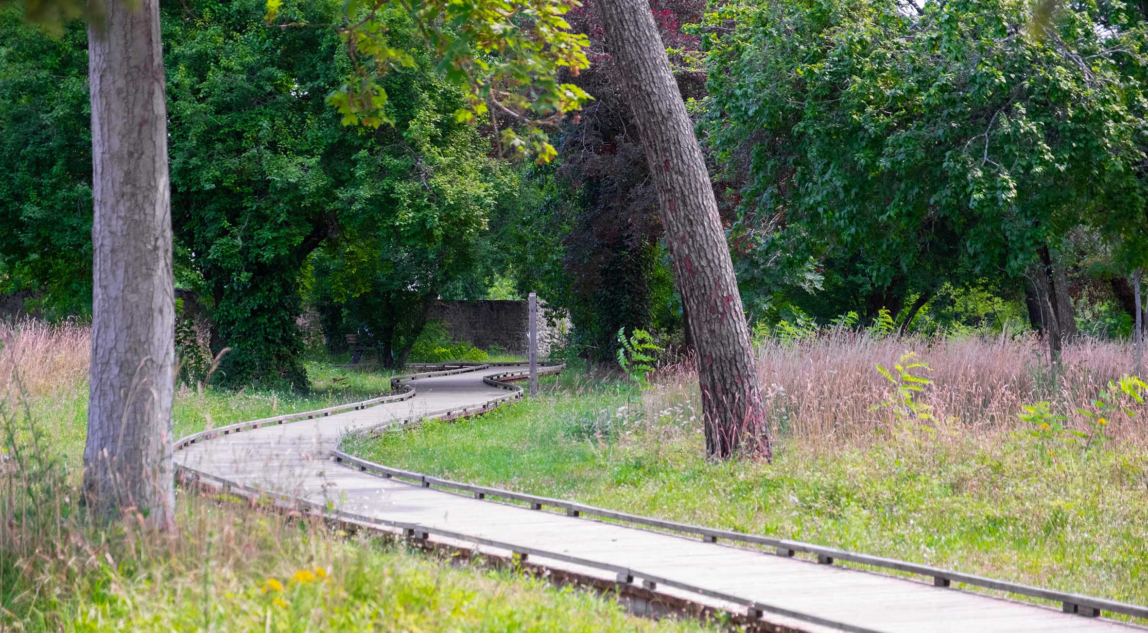 Parc Victor Schoelcher