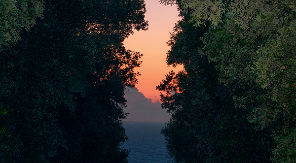 Deux regards sur la nature
