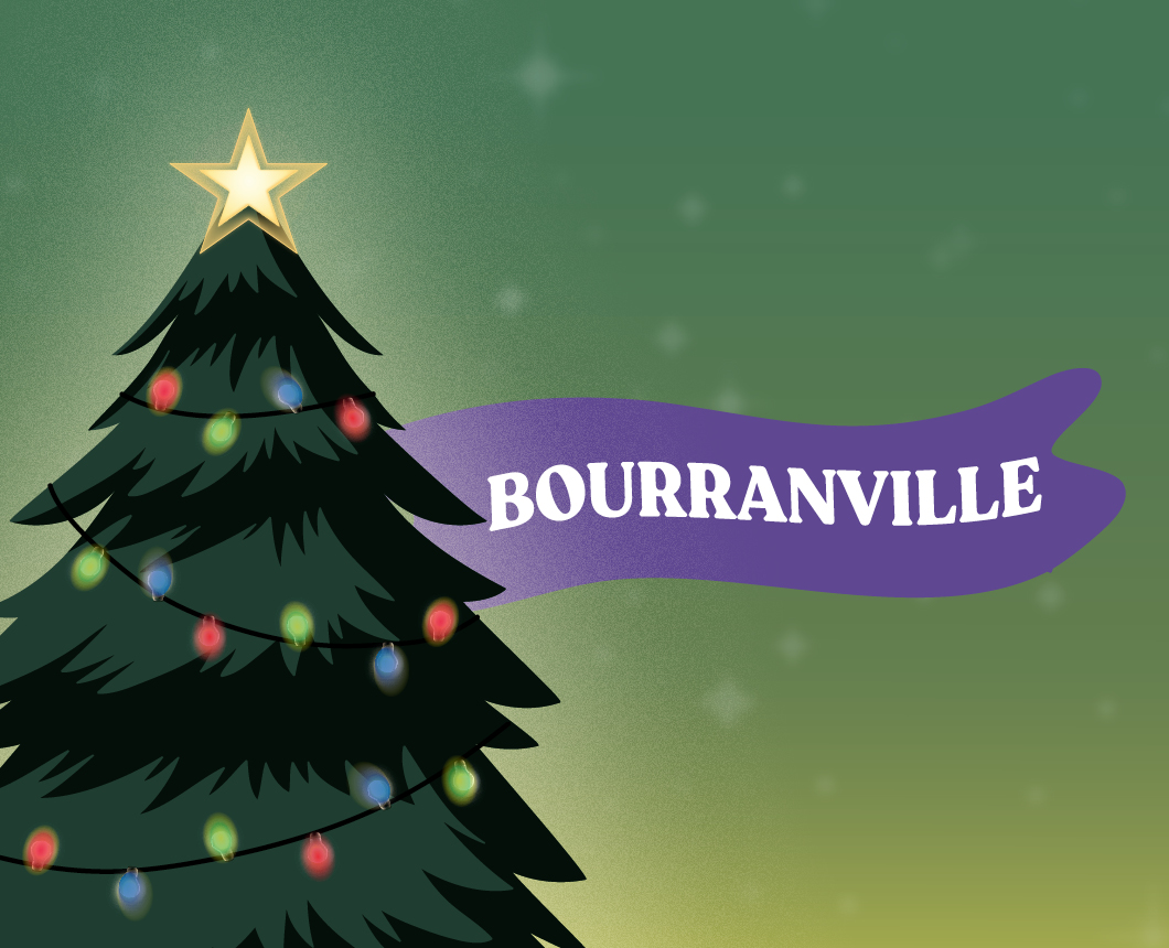 Les animations de Noël à Bourranville