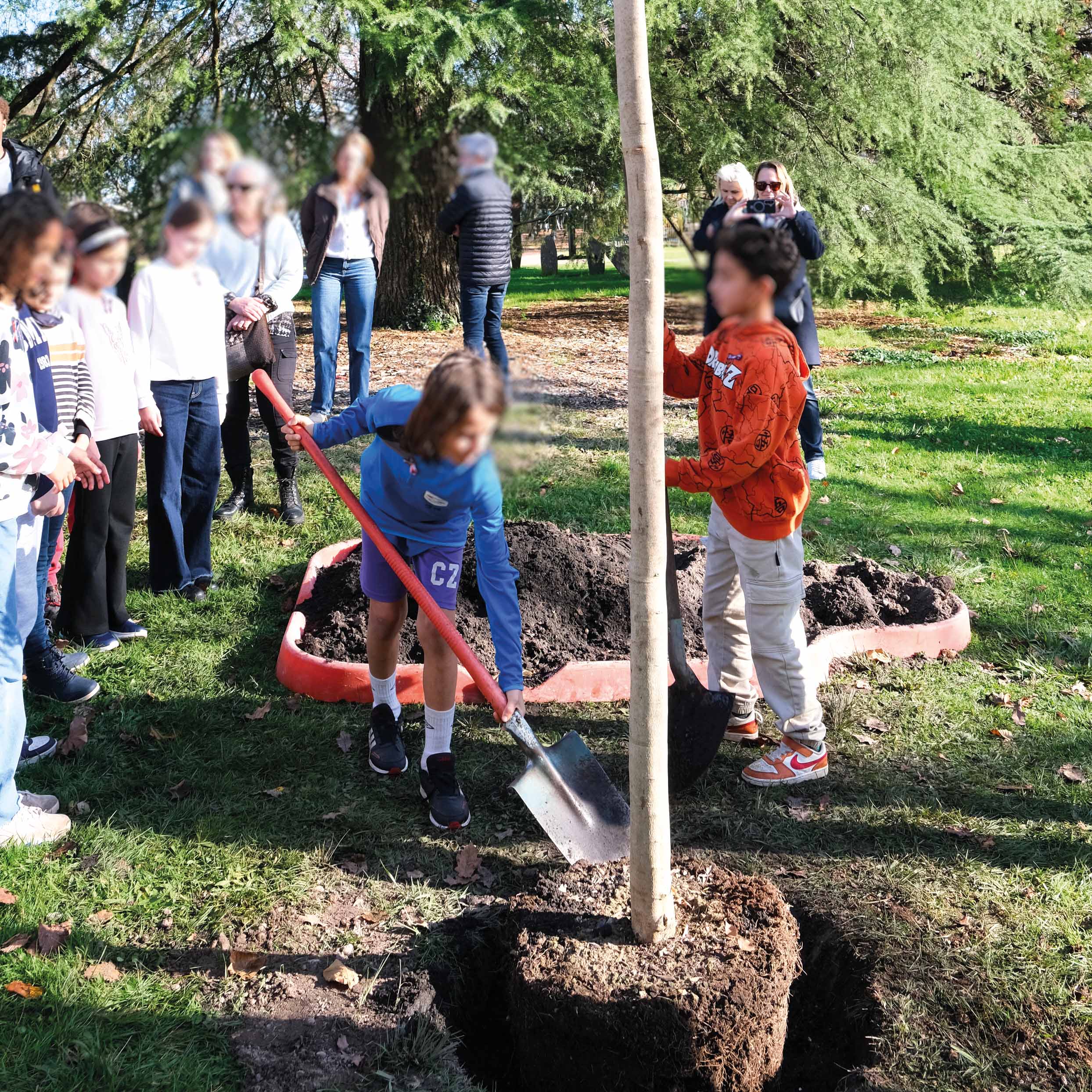 Plantation de l'arbre de la liberté le 9 Décembre dernier