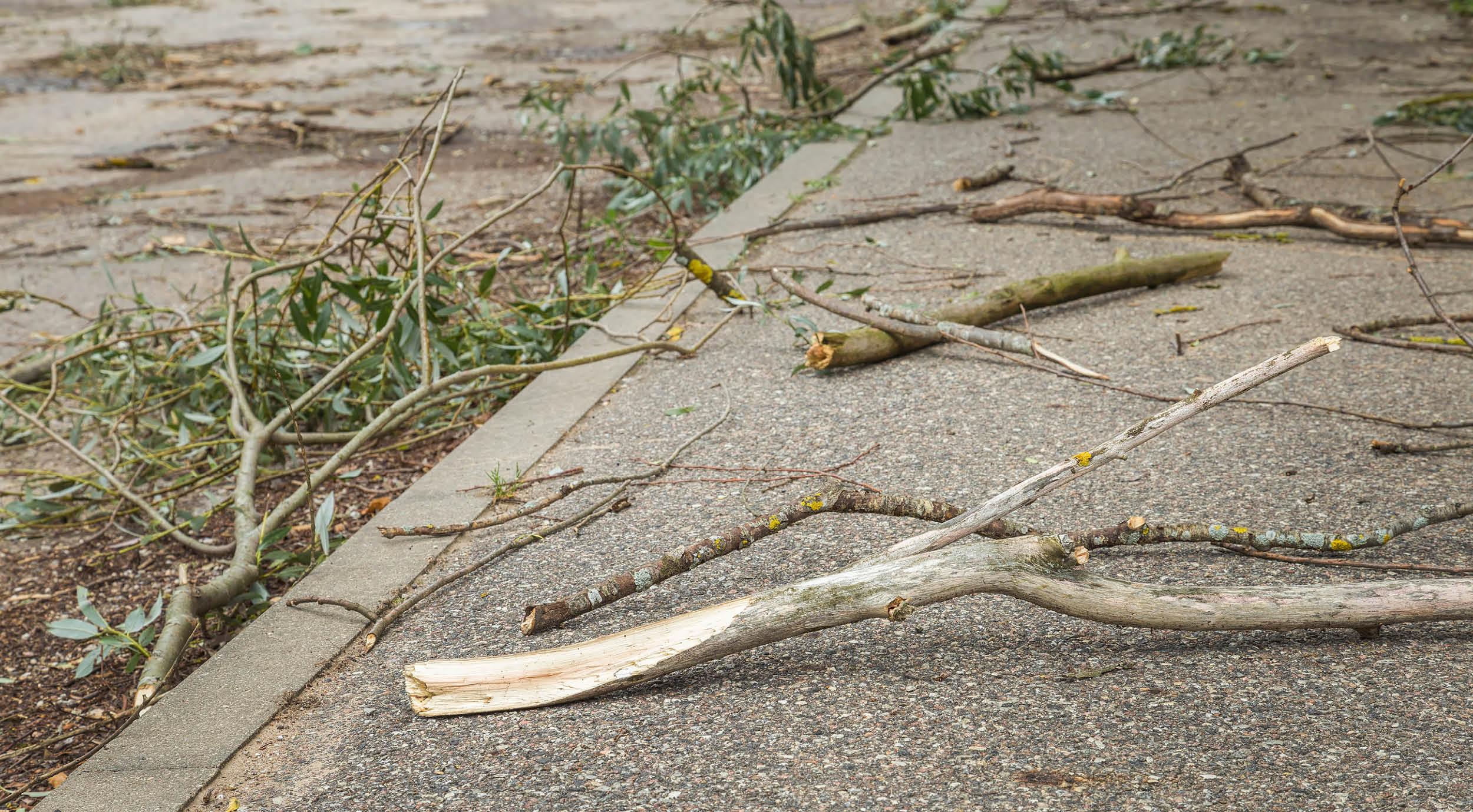 Point de situation - Tempête Nils