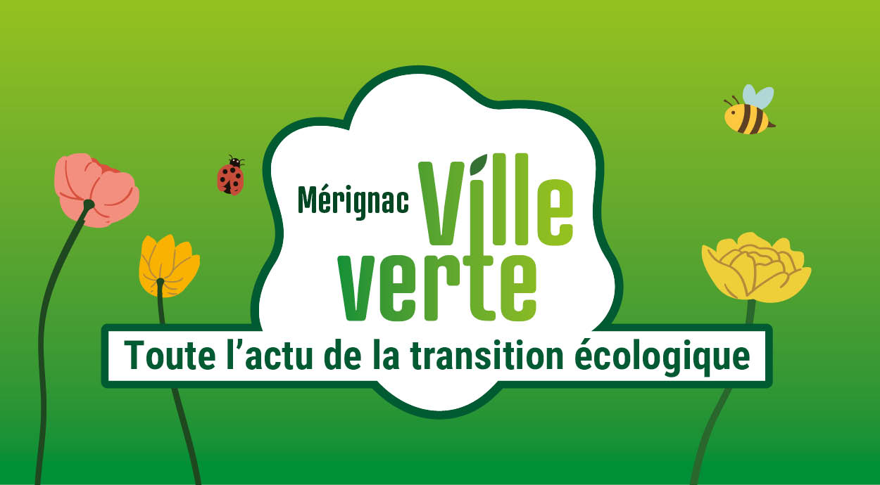 Transition eco_vign