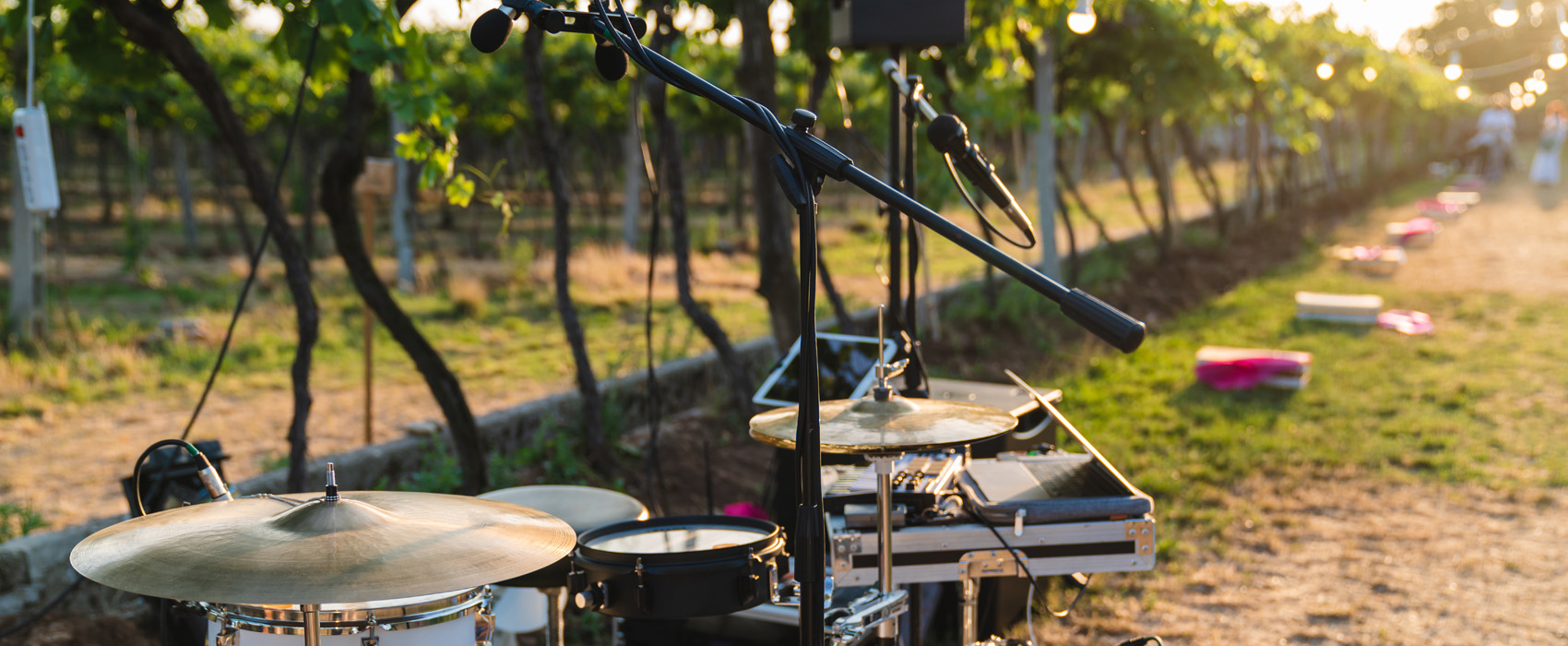 concert dans les vignes