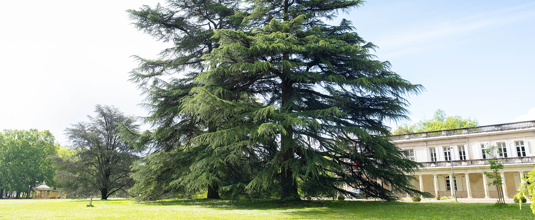 parc du vivier