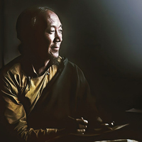 Exposition "Peindre avec la lumière" de Matthieu Ricard