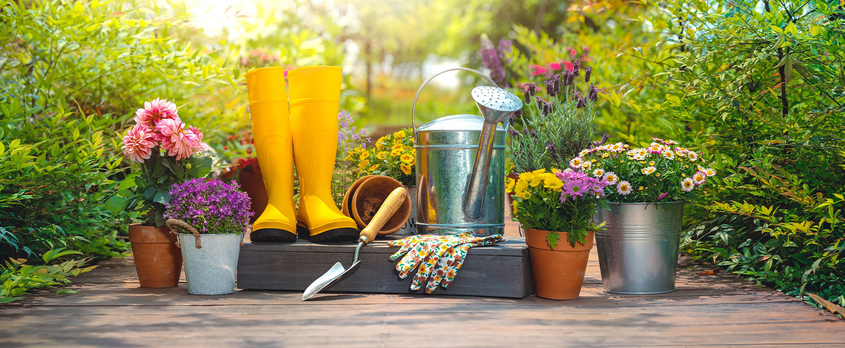 Rendez-vous des jardiniers : les semis