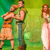 Comédie musicale "Robin des bois" au Pin Galant