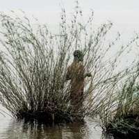 Exposition "Wilting point" de William Daniels à la vieille Eglise de Mérignac