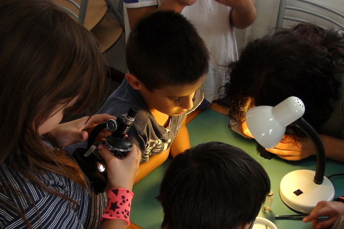 Atelier avec les Petits débrouillards