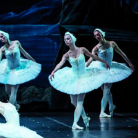 Gala de danse : Tchaïkovski avec le Yacobson Ballet au Pin Galant