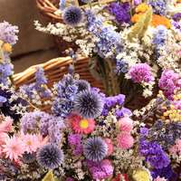 Création d’une lettre fleurie en fleurs séchées