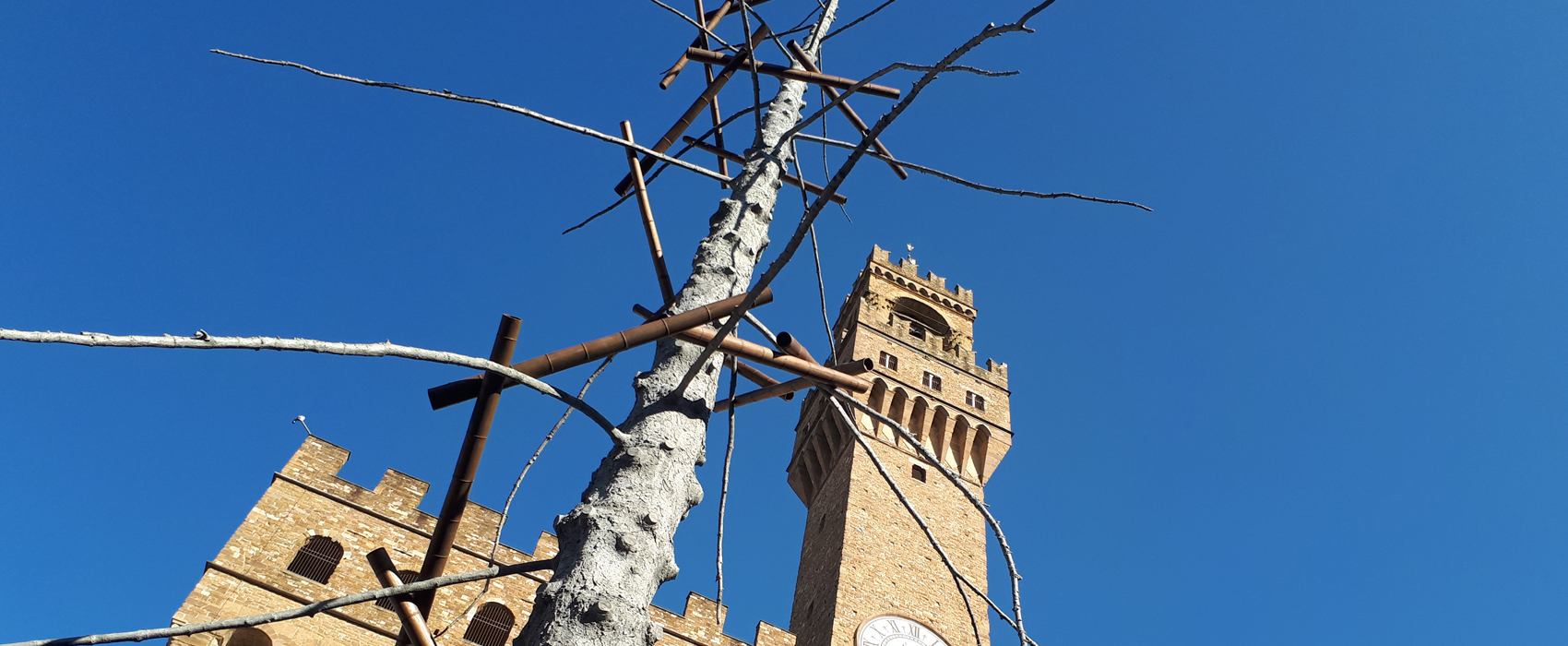 Giuseppe Penone et l’Arte povera 